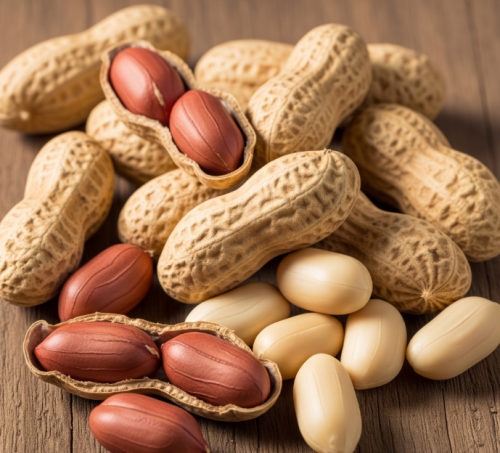 땅콩